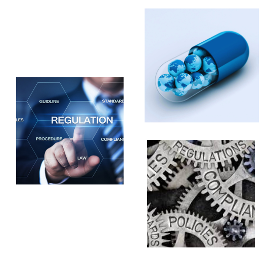 Pharma Regulatory Services Pharma Regulatory Consultant India